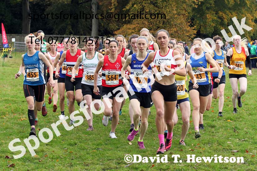 Senior womens 2021 NEHL Lambton Castle near Chester le Street, County Durham. Photo: David T. Hewitson/Sports for All Pics